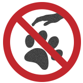 02勿傷害野生動物