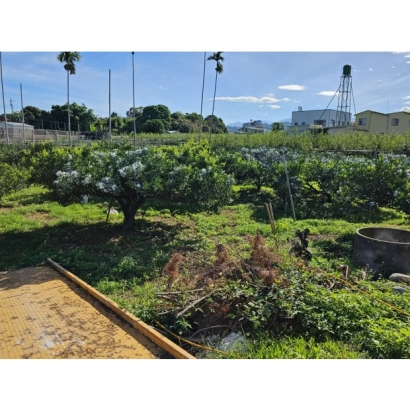 1693486681425.jpg 1693486681425.jpg