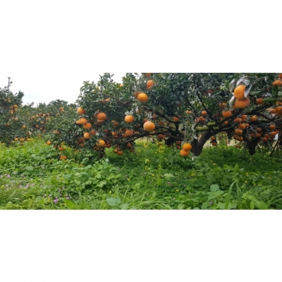 1693486682828.jpg 1693486682828.jpg