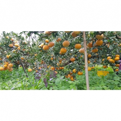 1693486682916.jpg 1693486682916.jpg