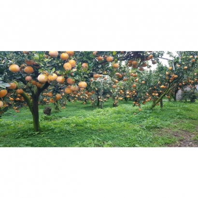 1693486683001.jpg 1693486683001.jpg