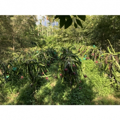 1693486610483.jpg 1693486610483.jpg