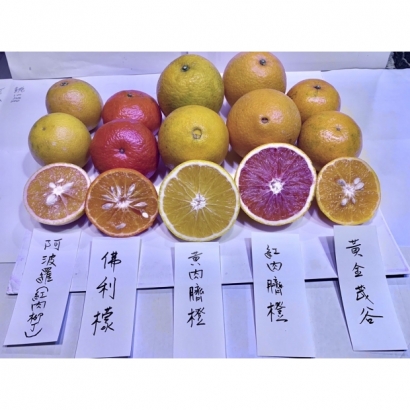 41ED5427-8DF5-46AE-A86D-5B3DBB6F63D8.jpg 41ED5427-8DF5-46AE-A86D-5B3DBB6F63D8.jpg