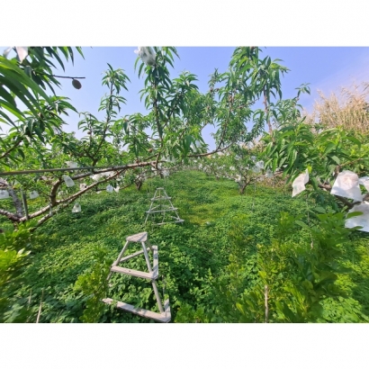 20230322_143725.jpg 20230322_143725.jpg