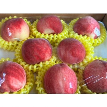 1692855190689.jpg 1692855190689.jpg