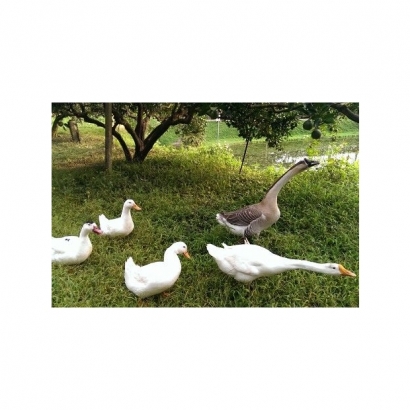 1151632_0.jpg 1151632_0.jpg