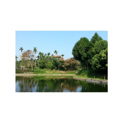 1151634_0.jpg 1151634_0.jpg