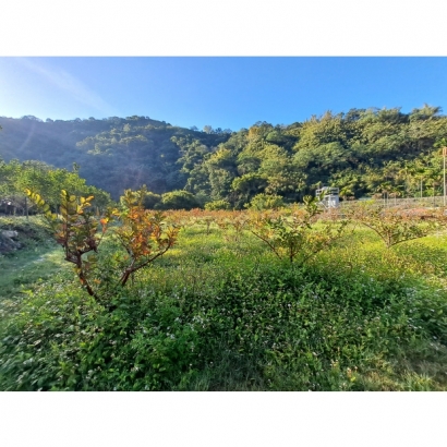 20230218_081734.jpg 20230218_081734.jpg