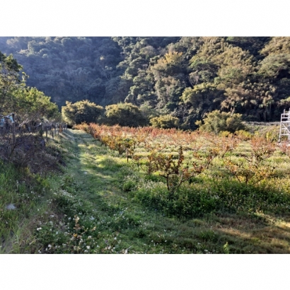 20230218_081845.jpg 20230218_081845.jpg