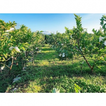 1693479914720.jpg 1693479914720.jpg