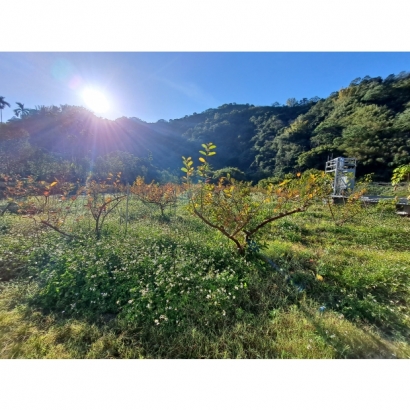 20230218_081712.jpg 20230218_081712.jpg