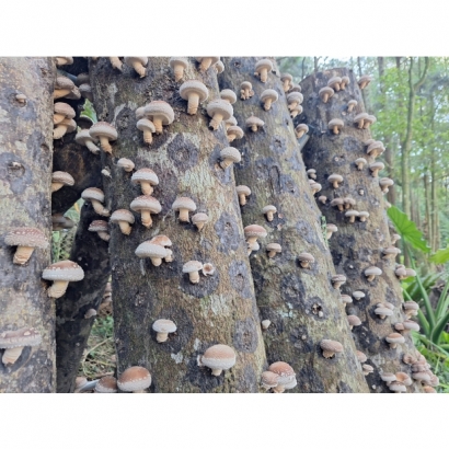 365021_0.jpg 365021_0.jpg