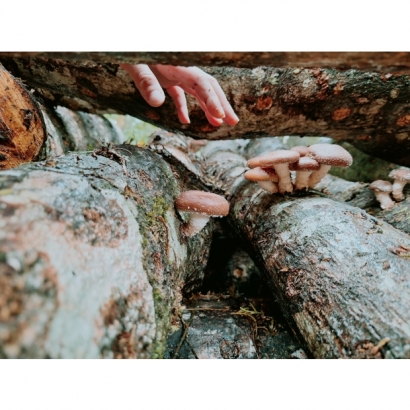 367626_0.jpg 367626_0.jpg