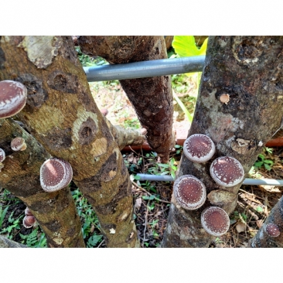 449790_0.jpg 449790_0.jpg