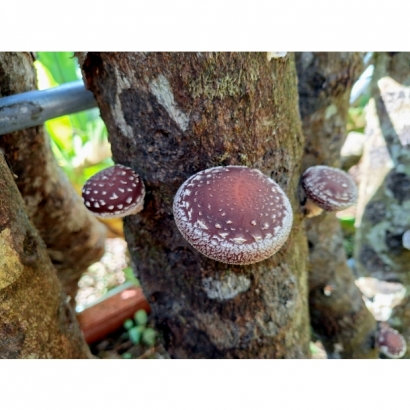 449791.jpg 449791.jpg